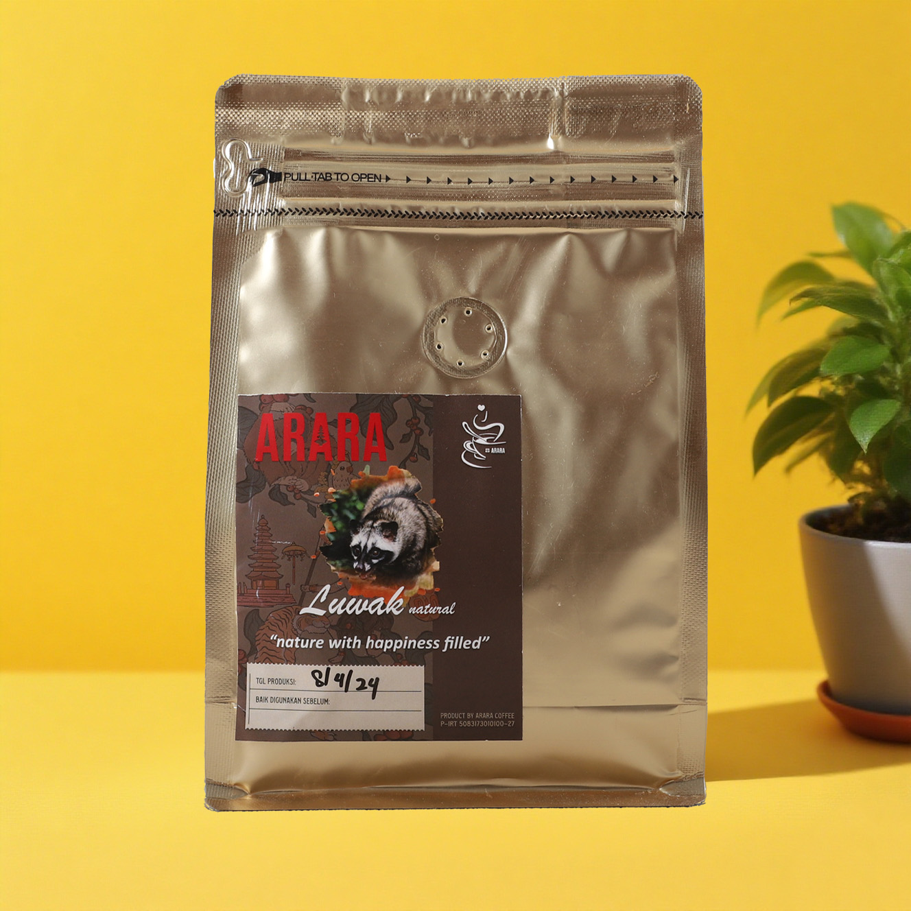 Capulus Sacculi: Cum Valvae vs. Sine Valvae - Quid interest?